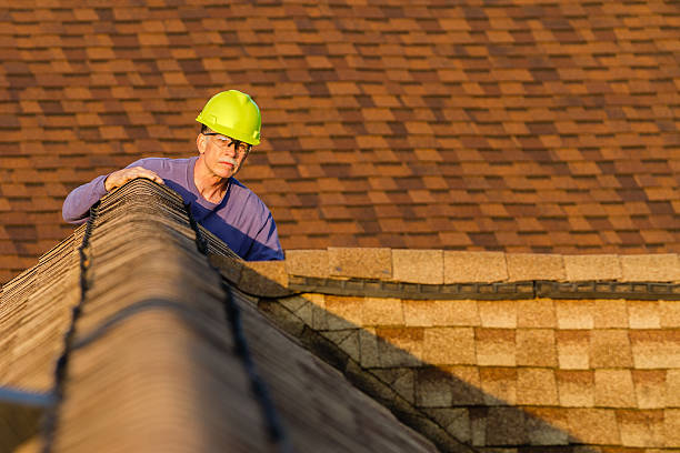 Best Roof Repair Specialists  in Sumrall, MS