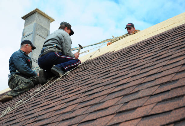 Best Roof Maintenance Services  in Sumrall, MS